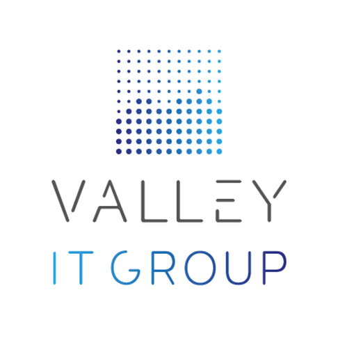 VALLEY IT Group Logo